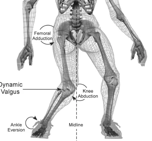 rotura del ligamento cruzado anterior - DR BALLESTER- TRAUMATOLOGIA CIRUGIA  ORTOPEDICA